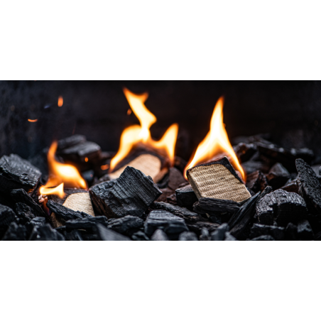 Charcoal Starters Charcoal Starters