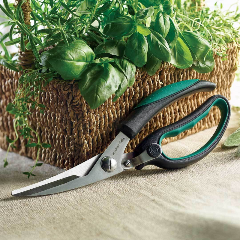 Kitchen Shears